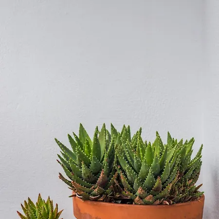 Gloria Amazing View * Lissabon