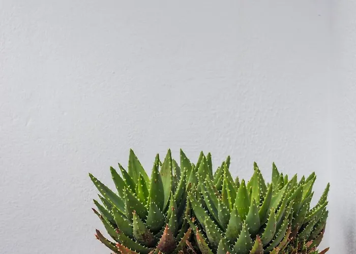 Gloria Amazing View * Lisboa